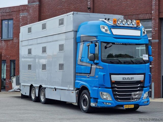 Veetransport DAF XF 510 6x2 SuperSpaceCab - Livestock Cuppers 3 ...