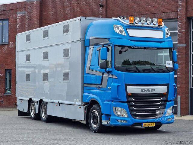 Veetransport DAF XF 510 6x2 SuperSpaceCab - Livestock Cuppers 3 ...