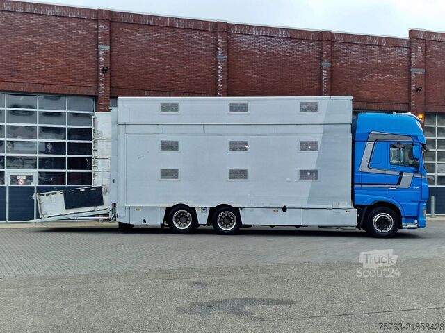 Veetransport DAF XF 510 6x2 SuperSpaceCab - Livestock Cuppers 3 ...