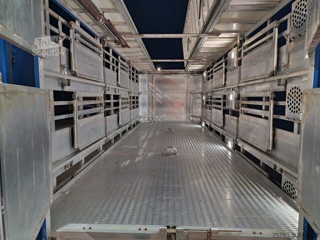 Transport de bétail Jumbo Bekkers 3 deck livestock - Ventilation - Loadli...