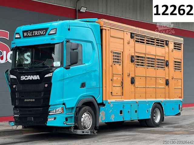 Скотовоз SCANIA S500 4x2 LL 3.Stock Finkl Viehwagen *unfall*