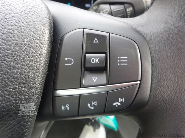 Minibus FORD Transit 350L3H2 Trend KMP WiPa Klima DAB Rampe