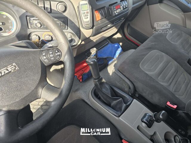 Furgone isotermico frigorifero DAF DAF LF 120-22 CELLA 5M SPONDA