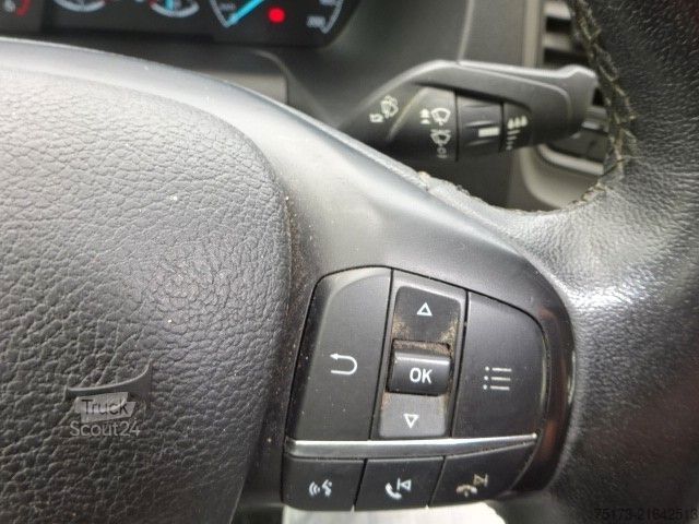 Transporter mit Pritsche & Plane FORD Transit Doka Pritsche 350 L3 Trend Plane 4x4