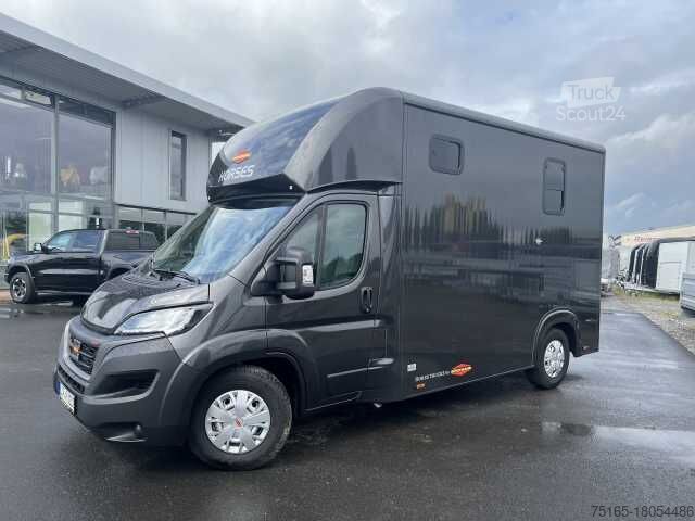 Μεταφορέας ζώων Fiat Böckmann Compact Basic LKW