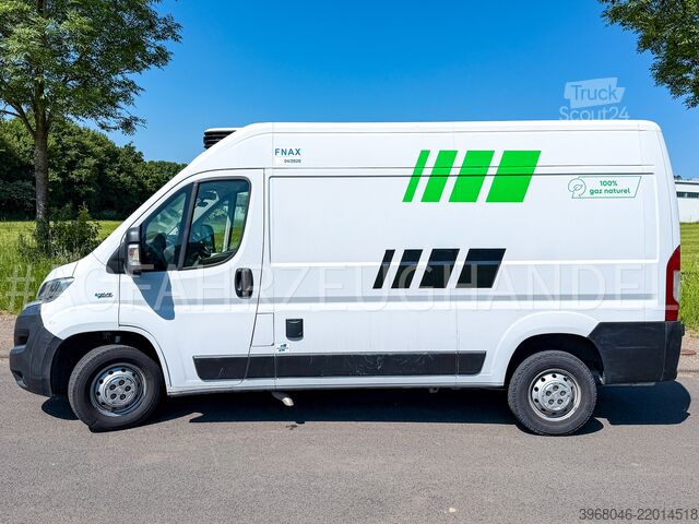 Fiat Ducato NP CNG/Benzin Carrier Xarios Fiat Ducato NP CNG/Benzin Carrier Xarios 200