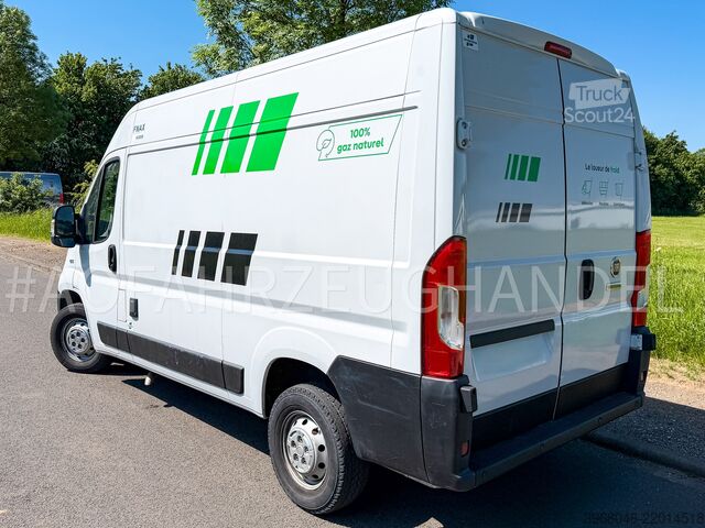 Fiat Ducato NP CNG/Benzin Carrier Xarios Fiat Ducato NP CNG/Benzin Carrier Xarios 200