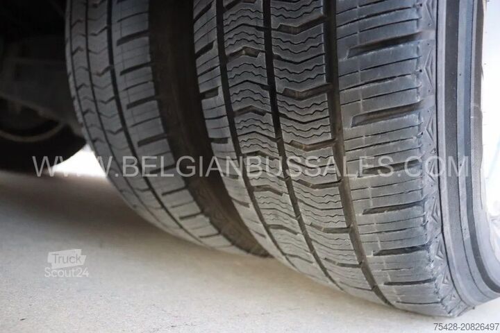 Minibus Iveco Erener