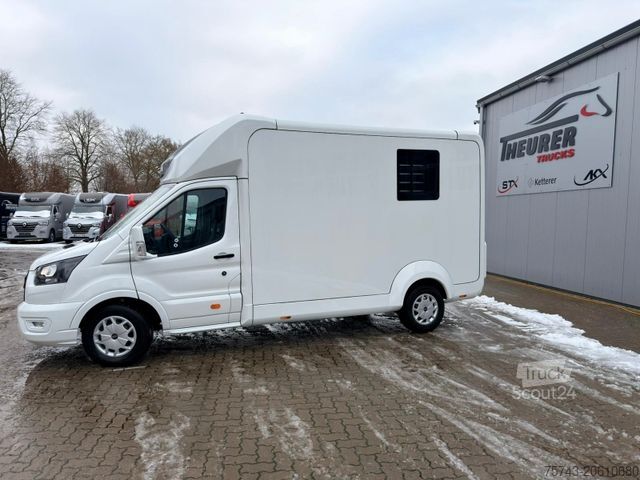 Μεταφορέας ζώων FORD Transit STX Haras  NEW MODELL. AUTOMATIK