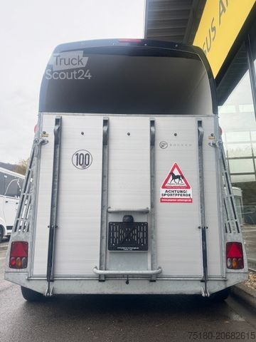 At taşıma römorku BUECKER TRAILER Careliner Alu 2 Pferdeanhänger 2,4t  1.Hand