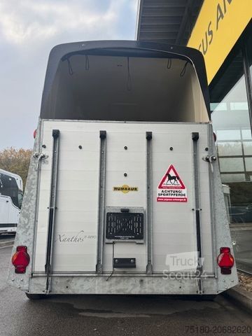 At taşıma römorku HUMBAUR Xanthos Aero 2 Pferdeanhänger 2,4t SK Vollalu