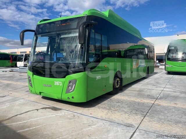 Stadsbus MAN Castrosua