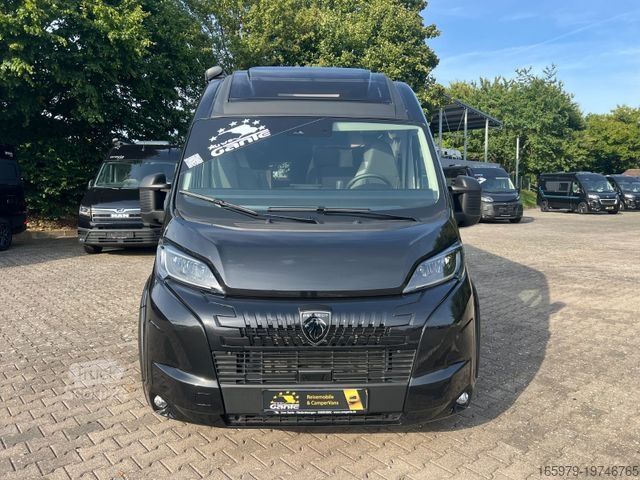 Kastenwagen Wohnmobil / Campervan  BRAVIA