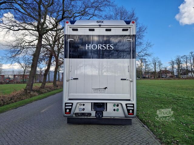 Paarden transport Volvo FH 540 Jong gebrukt 7 paards plus living pop-ot...