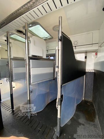 Cattle truck MAN 18-2900  5 Pferde Pop-Out  NUR 18.800KM
