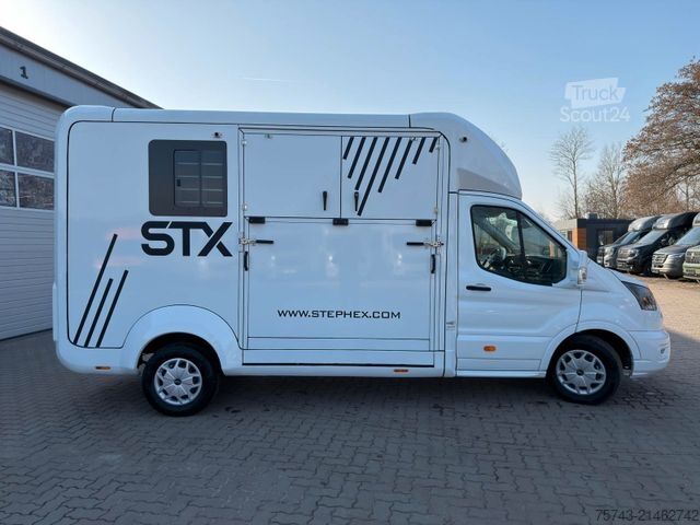 Livestock transporter FORD Transit STX Haras  NEW MODELL. AUTOMATIK