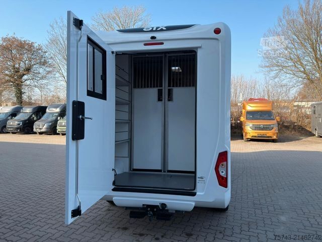 Livestock transporter FORD Transit STX Haras  NEW MODELL. AUTOMATIK