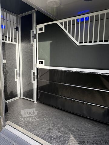 Veetransporter Horsetruck Renault Master / Equita Paardenwagen  Horsetruck Hengsten uitv