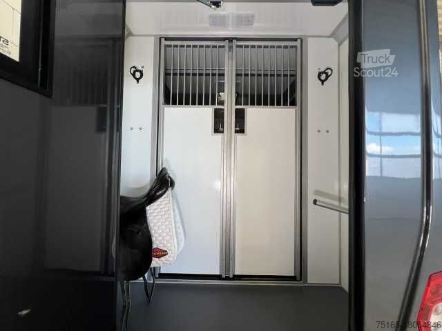Viehtransporter Renault Master Haras STX 5-Sitzer LKW