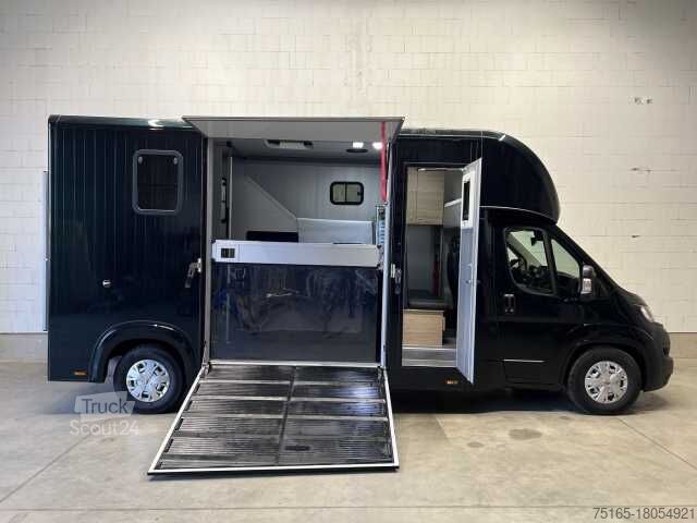 Μεταφορέας ζώων Fiat Böckmann Compact L+ Stall Tour LKW