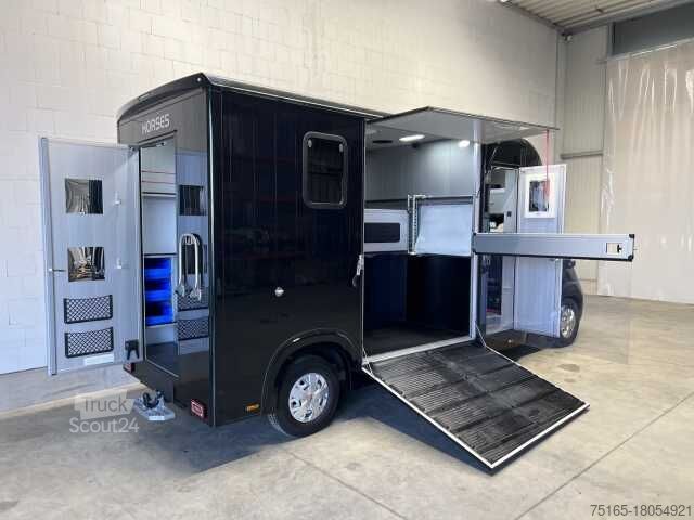 Μεταφορέας ζώων Fiat Böckmann Compact L+ Stall Tour LKW
