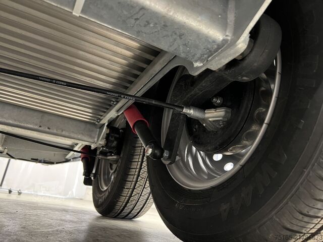 مقطورة نقل الخيول Böckmann Comfort Neu Pferdeanhänger