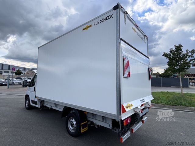 Transporter mit Koffer FIAT Ducato 180 PS Koffer LBW Humbaur  E6