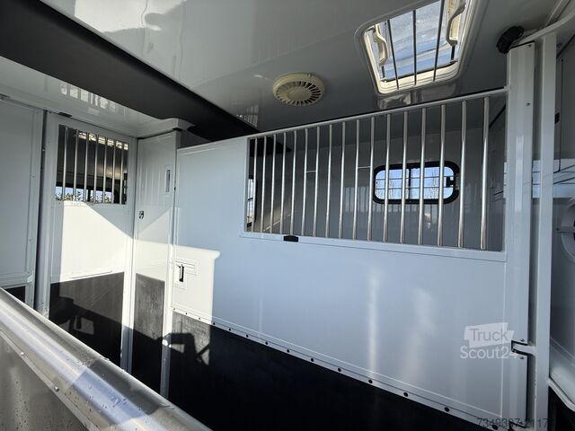 Horse transportation Renault Master PAARDENWAGEN | HORSETRUCK | MTM | STALLI...