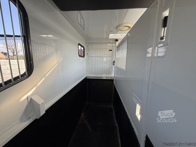 Horse transportation Renault Master PAARDENWAGEN | HORSETRUCK | MTM | STALLI...