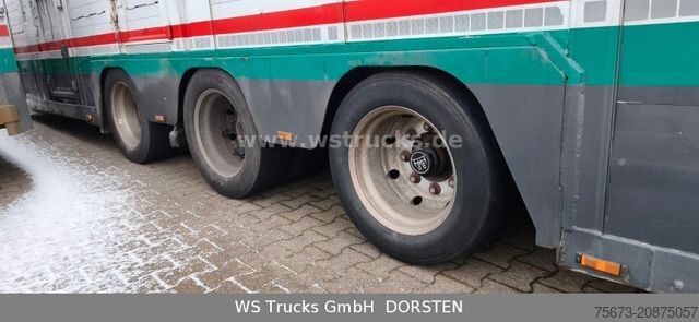Remorque de transport de chevaux MENKE-JANZEN Tandem 3 Achsen 2 Stock Eigenes Aggregat