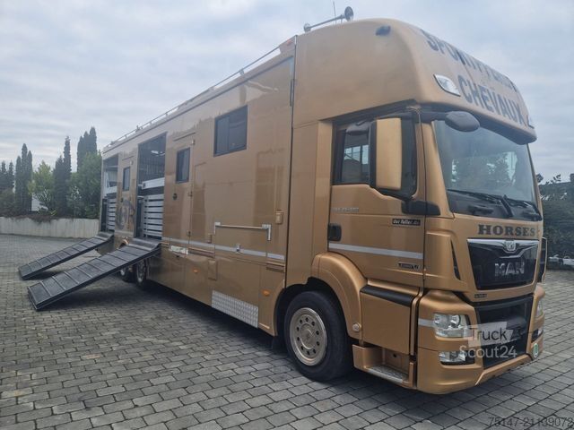 Camión para ganado MAN TGS 26.480 5-Pferde Wohnabteil JL 4 Rampen