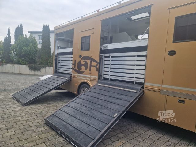 Camión para ganado MAN TGS 26.480 5-Pferde Wohnabteil JL 4 Rampen