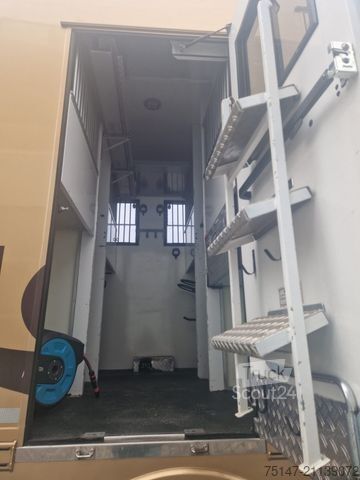 Camión para ganado MAN TGS 26.480 5-Pferde Wohnabteil JL 4 Rampen