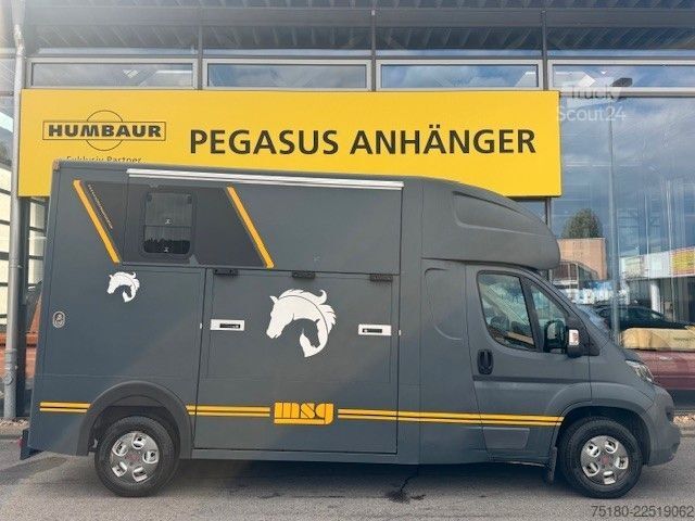 Karjankuljetusajoneuvo PEUGEOT Boxer MSG 2 Pferdetransporter 16.000 km 3,5t.