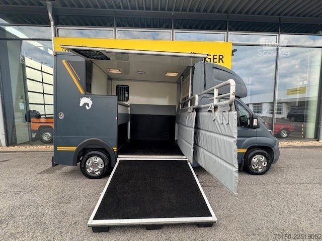 Karjankuljetusajoneuvo PEUGEOT Boxer MSG 2 Pferdetransporter 16.000 km 3,5t.