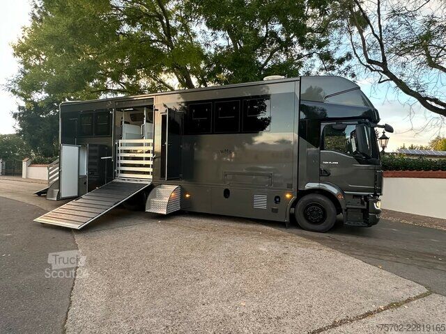Ван MAN TGM 15290 Popout 4-5 Pferde Wohnmobilzul.