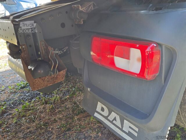 Tractora standard DAF XF 480 SSC Vollausstattung i-Park  Standklima