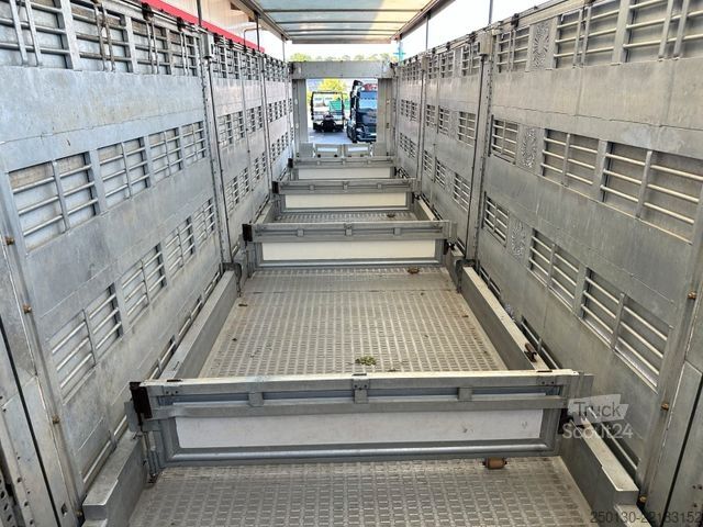 Semi-remorque pour bétail Finkl SAV35 4.Stock Hubdach Lift Tränke Tridec