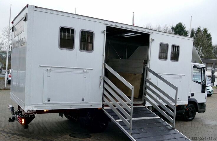 Transporteur de bétail IVECO 80E15 Pferdetransport 4 Pferde 4(Grün) HU neu