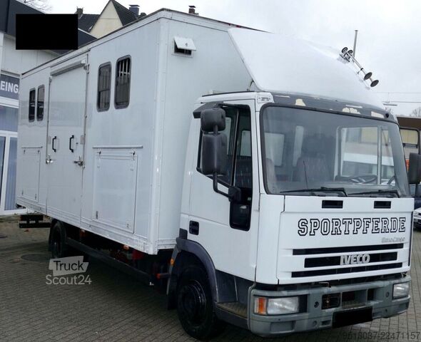 Transporteur de bétail IVECO 80E15 Pferdetransport 4 Pferde 4(Grün) HU neu