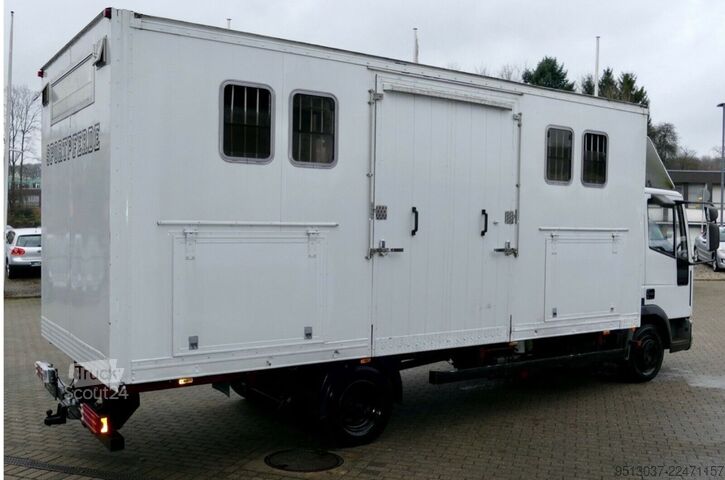 Transporteur de bétail IVECO 80E15 Pferdetransport 4 Pferde 4(Grün) HU neu