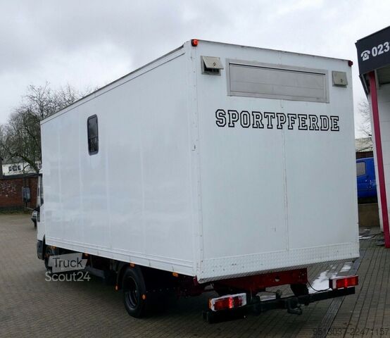 Transporteur de bétail IVECO 80E15 Pferdetransport 4 Pferde 4(Grün) HU neu
