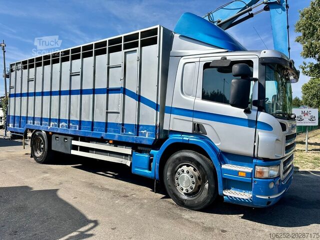 Viehtransport Scania P310 4x2 LIVESTOCK / VEEWAGEN / TIERTRANSPORT /...