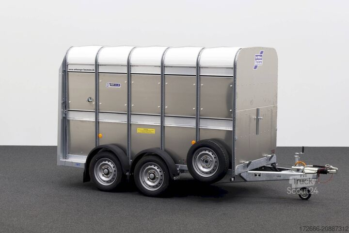 állatszállító pótkocsi Ifor Williams TA5|10x6|RAMPE-/TÜR-KOMBI 311X156X183cm