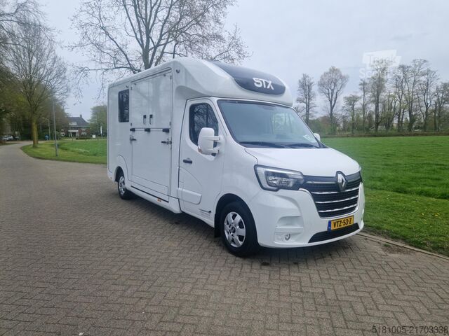 Transporte de cavalos Renault Master STX S3 Pro-Safety hengsten uitvoering pa...