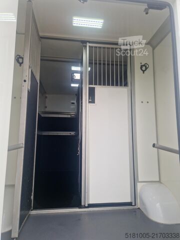 Transporte de cavalos Renault Master STX S3 Pro-Safety hengsten uitvoering pa...