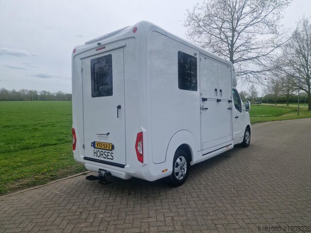 Transporte de cavalos Renault Master STX S3 Pro-Safety hengsten uitvoering pa...