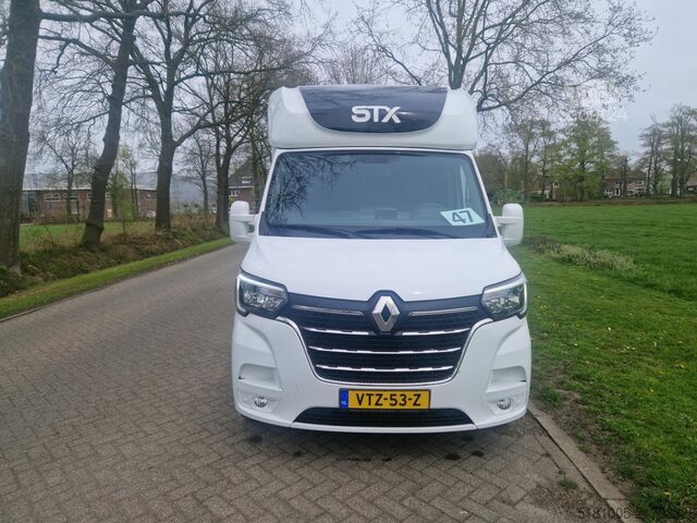 Transporte de cavalos Renault Master STX S3 Pro-Safety hengsten uitvoering pa...