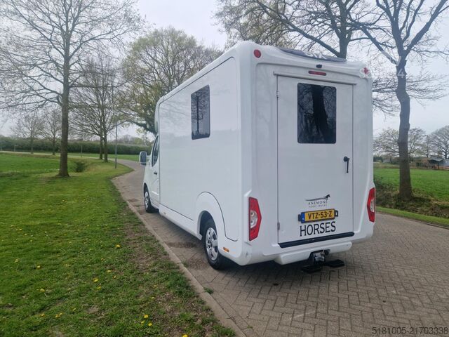 Transporte de cavalos Renault Master STX S3 Pro-Safety hengsten uitvoering pa...