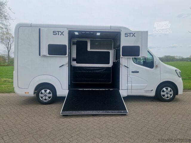 Transporte de cavalos Renault Master STX S3 Pro-Safety hengsten uitvoering pa...